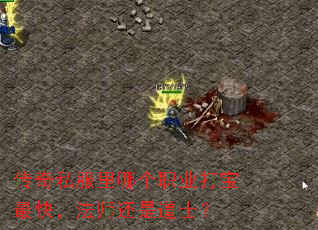 ����˽�����ĸ�ְҵ����죬��ʦ���ǵ�ʿ��