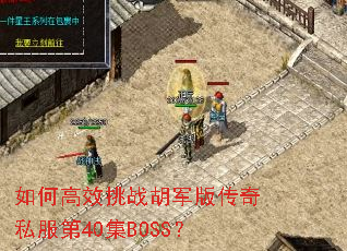 ��θ�Ч��ս�����洫��˽����40��BOSS��