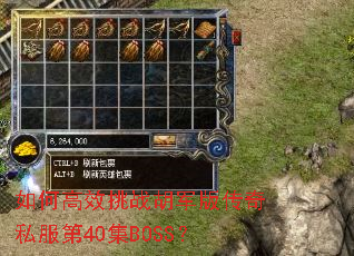 ��θ�Ч��ս�����洫��˽����40��BOSS��