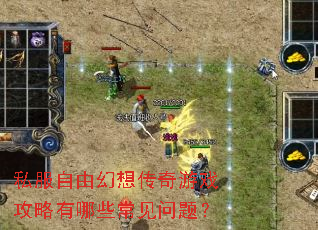 ˽�����ɻ��봫����Ϸ��������Щ�������⣿