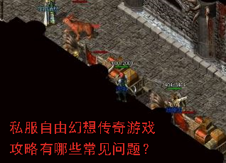 ˽�����ɻ��봫����Ϸ��������Щ�������⣿