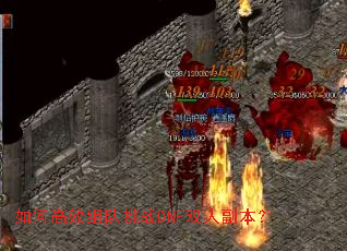 ��θ�Ч�����սDNF˫�˸�����