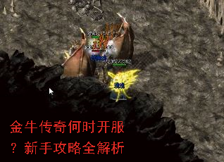 ��ţ�����ʱ���������ֹ���ȫ����