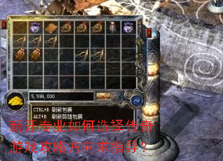 新开专业如何选择传奇游戏攻略方向求指导? 新开专业如何选择传奇游戏攻略方向求指导?