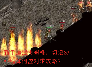 ����������֩�룬�м���������Ӧ�����ԣ�