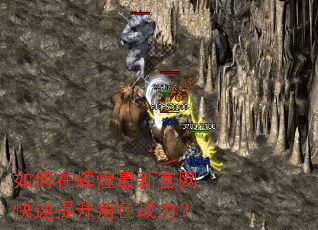 ����ڻԻ����¹�������������ɫս����