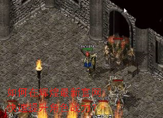 ����ڻԻ����¹�������������ɫս����