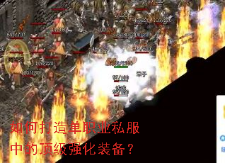��δ��쵥ְҵ˽���еĶ���ǿ��װ����