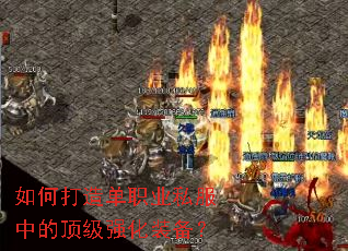 ��δ��쵥ְҵ˽���еĶ���ǿ��װ����