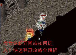 ����SF�¿���վ��ν��룿���ٵ�¼����ȫ����