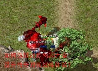 ���ѡ��ս����DJ��ȫ����������Ϸս�����飿