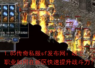 1.85����˽��sf��������սʿְҵ�����������������ս������