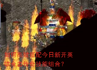 ��θ�Ч��������¿�Ӣ�ۺϻ����漼����ϣ�