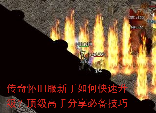 ���滳�ɷ�������ο����������������ַ����ر�����