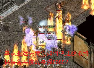 ��ְҵ��ʧ������ο��ٻ�ȡ�ռ�װ������ս��ǿBOSS��