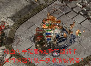 ��Ѫ����˽��WCL�����������ο�����������ȡ����װ����