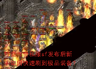 ��䴫��˽��sf������������ο���ˢ����Ʒװ����