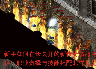 ��������ڳ��ÿ����´���˽���б�������·��ְҵѡ���뼼�ܴ��������滮�������
