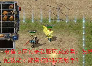 ����ר������˽����ұؿ����������似�ܲ��ܺ�ɨBOSS�޵��֣�