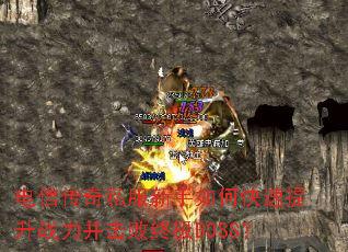 ���Ŵ���˽��������ο�������ս���������ռ�BOSS��