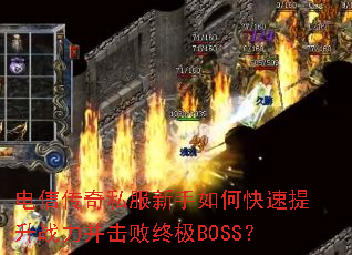 ���Ŵ���˽��������ο�������ս���������ռ�BOSS��
