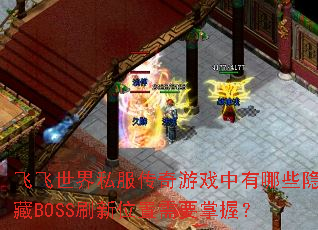 �ɷ�����˽��������Ϸ������Щ����BOSSˢ��λ����Ҫ���գ�