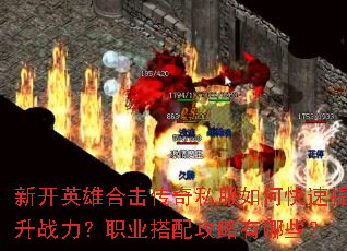 �¿�Ӣ�ۺϻ�����˽����ο�������ս����ְҵ���乥������Щ��