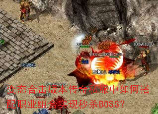��̬�ϻ��汾����˽������δ���ְҵ���ʵ����ɱBOSS��