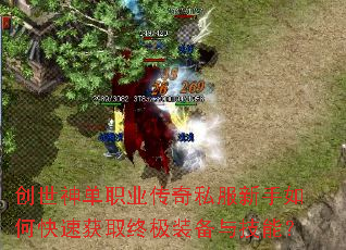 ������ְҵ����˽��������ο��ٻ�ȡ�ռ�װ���뼼�ܣ�