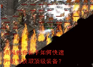 ��紫��������ο����������ȡ����װ����