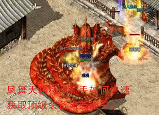 �����콾˽��������ο��ٻ�ȡ����װ���뼼���飿