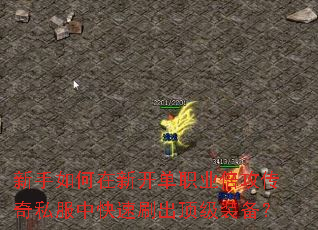 ����������¿���ְҵ��������˽���п���ˢ������װ����