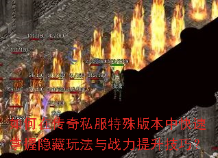 ����ڴ���˽������汾�п������������淨��ս���������ɣ�