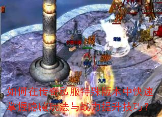 ����ڴ���˽������汾�п������������淨��ս���������ɣ�