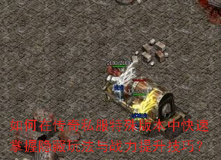 ����ڴ���˽������汾�п������������淨��ս���������ɣ�
