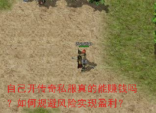 �Լ�������˽�������׬Ǯ����ι�ܷ���ʵ��ӯ����