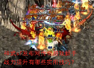 ����sf������������Ϸ����ս����������Щʵ�ü��ɣ�