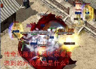 ����˽��ǰʮǿ��������������������ʲô��