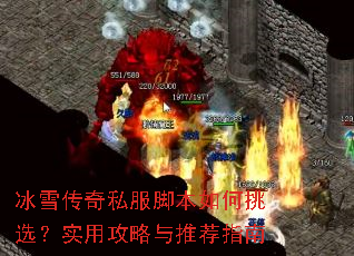 ��ѩ����˽���ű������ѡ��ʵ�ù������Ƽ�ָ��