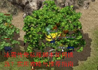��ѩ����˽���ű������ѡ��ʵ�ù������Ƽ�ָ��