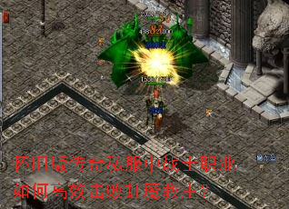 ���ɰ洫��˽����սʿְҵ��θ�Ч���ܺ�ħ������