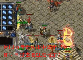 ���ɰ洫��˽����սʿְҵ��θ�Ч���ܺ�ħ������