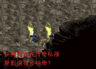 ������ָ�ڴ���˽���ﵽ���ж����棿