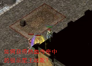 ��λ����Ѫ�����еļ�Ʒ����սѥ��
