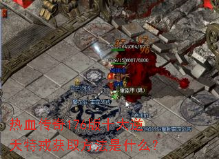 ��Ѫ����176��ʮ�������ؽ��ȡ������ʲô��