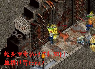 ���䴫��˽����ʦ��ε�������boss��