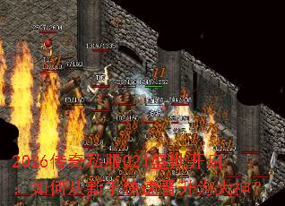 2026����˽��021ʢ����������δ����ֿ��ٽ���Ϊ����