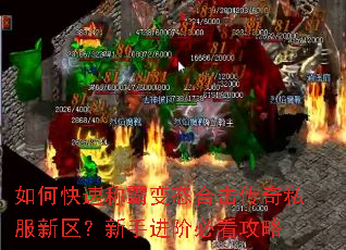 ��ο��ٳưԱ�̬�ϻ�����˽�����������ֽ��ױؿ�����