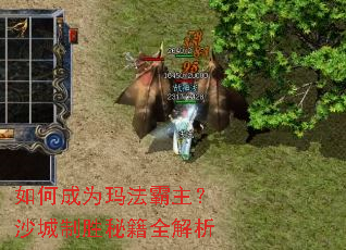 ��γ�Ϊ�귨������ɳ����ʤ�ؼ�ȫ����