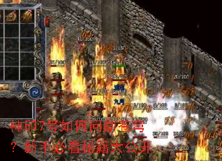 ��ӡ7������ʶ���񷣿���ֱؿ��ؼ��󹫿�